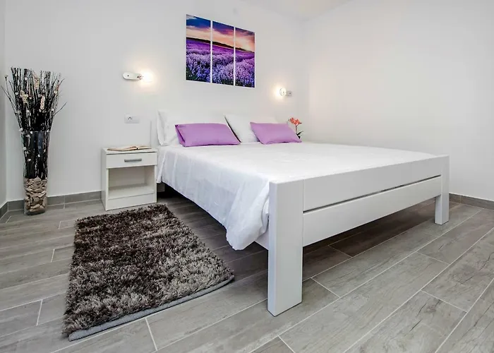 Appartement And Tereza *